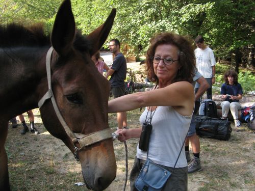 trekking con i muli-183.jpg